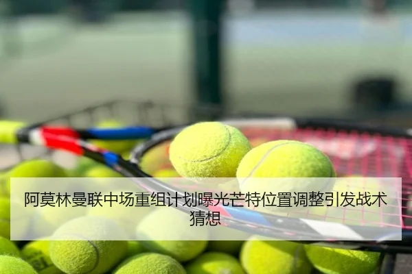 阿莫林曼联中场重组计划曝光芒特位置调整引发战术猜想